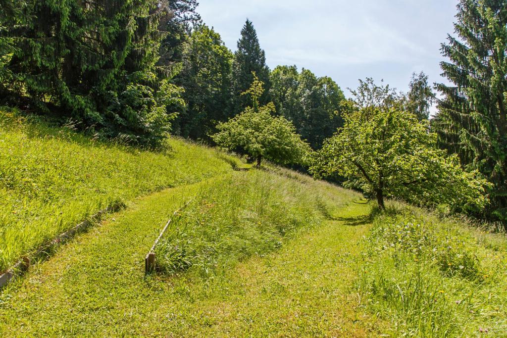 Caritas Tagungszentrum Freiburg im Breisgau Kültér fotó